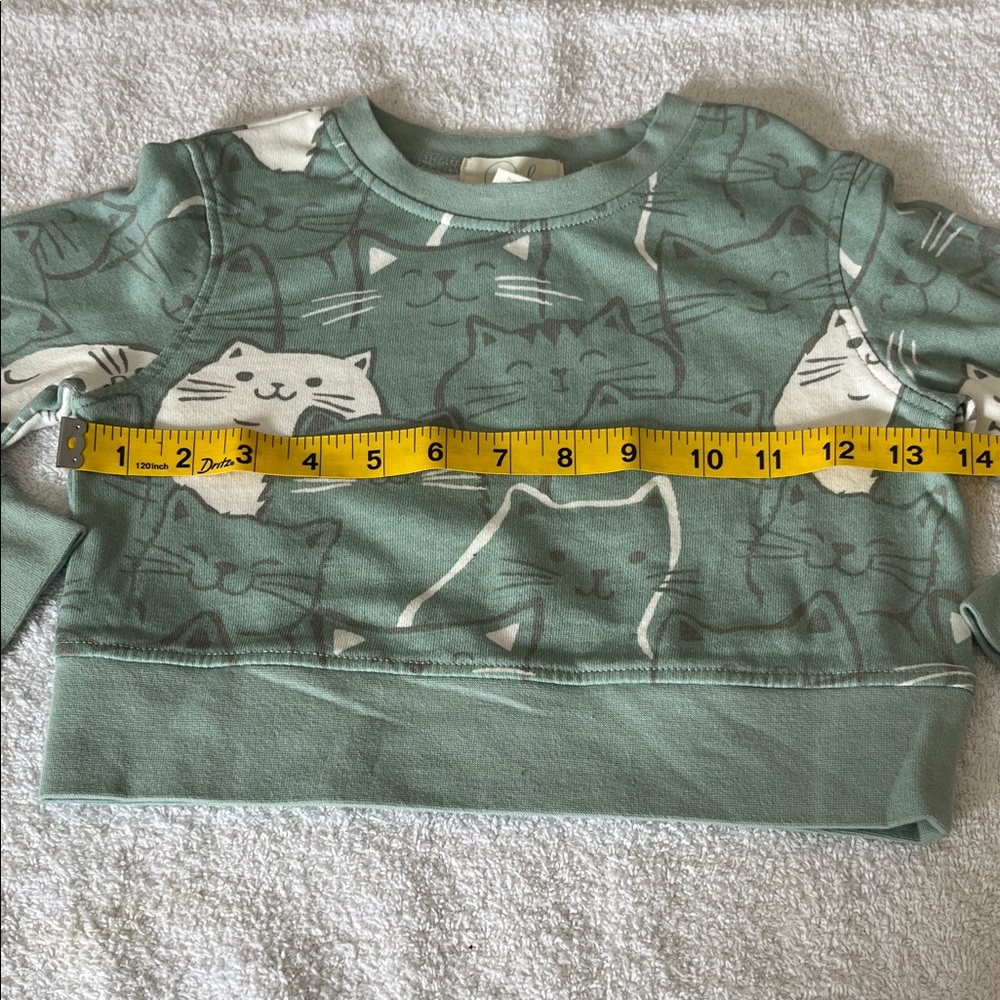 Peek Seafoam Green Cat Print Crewneck Sweatshirt - Picture 5 of 13